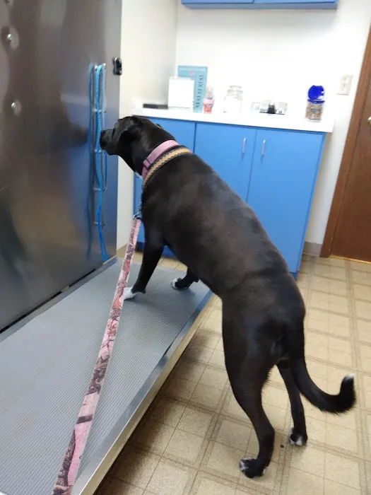 Landings Animal Hospital 12