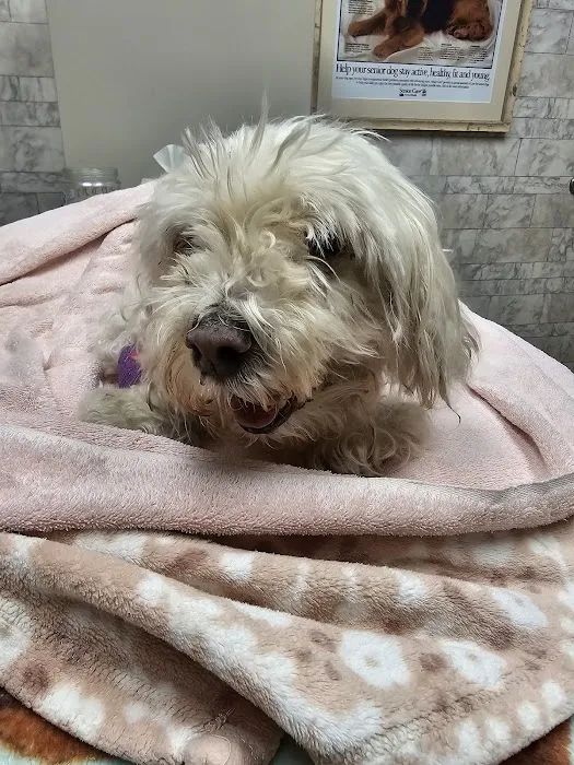 Avon Lake Animal Clinic: Mills Brian N DVM 12