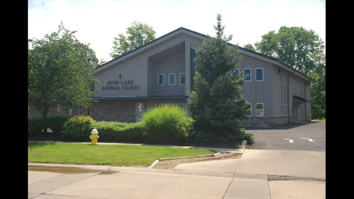 Avon Lake Animal Clinic 12