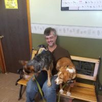 Heartland Animal Hospital ico