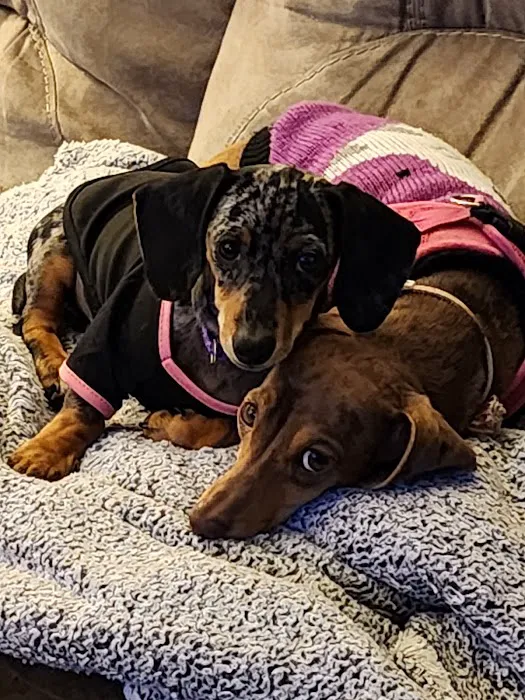 Heartland Animal Hospital 3