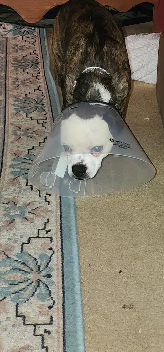 Eastburn Veterinary Services l.l.c. 2