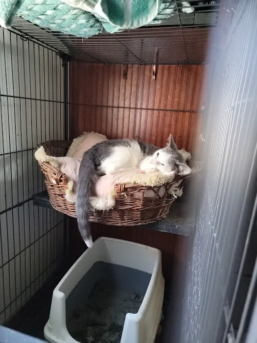 Carlyle Animal Hospital 4
