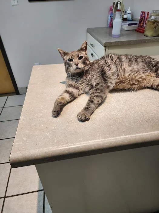 Crooked Creek Animal Hospital 1