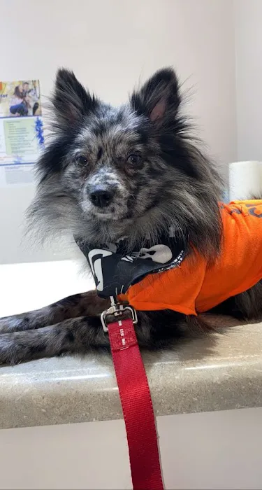 Crooked Creek Animal Hospital 8