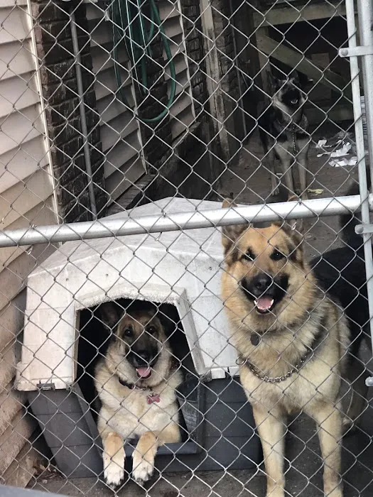 Crooked Creek Animal Hospital 10