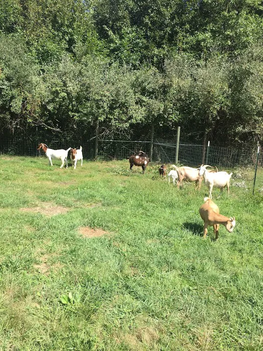 Greenville Veterinary Clinic 9