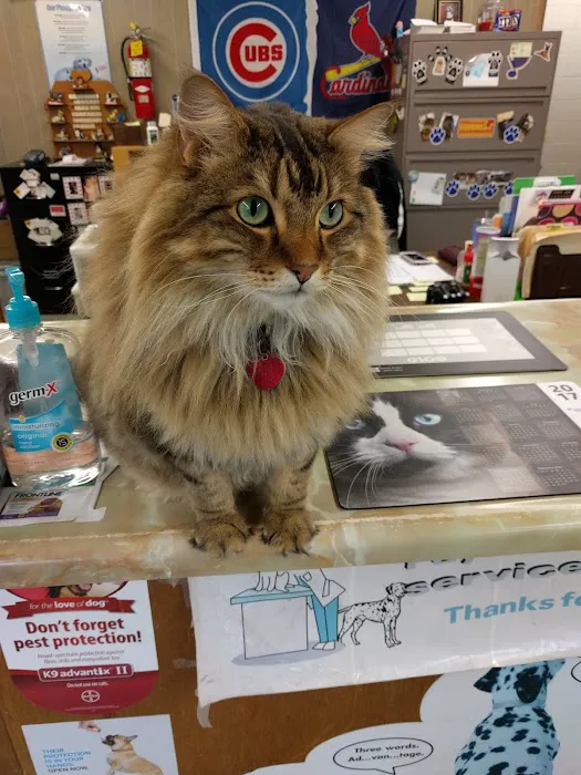 Probst Veterinary Clinic 9