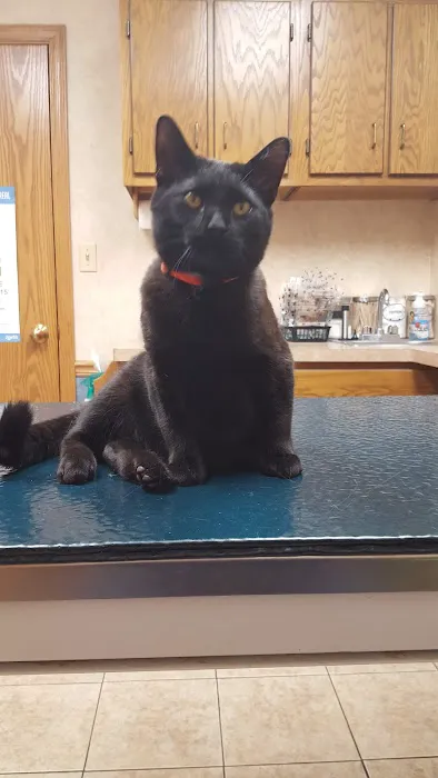 Animal Medical Center Litchfield 3
