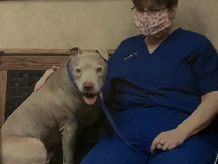 Animal Medical Center Litchfield 4