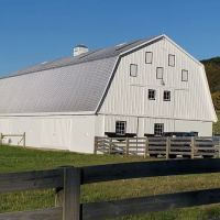 Abington Equine Hospital ico