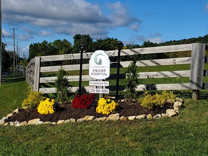 Abington Equine Hospital 12