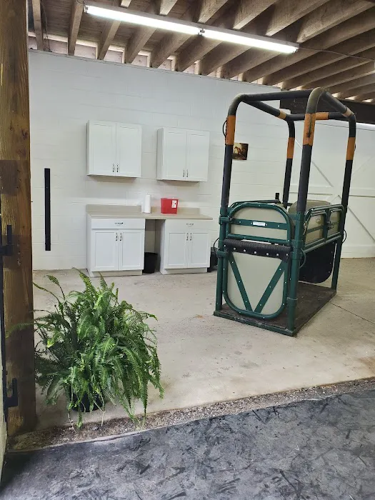 Abington Equine Hospital 12