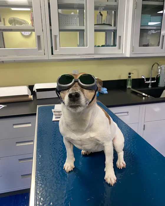 Williamsport West Veterinary Hospital 7
