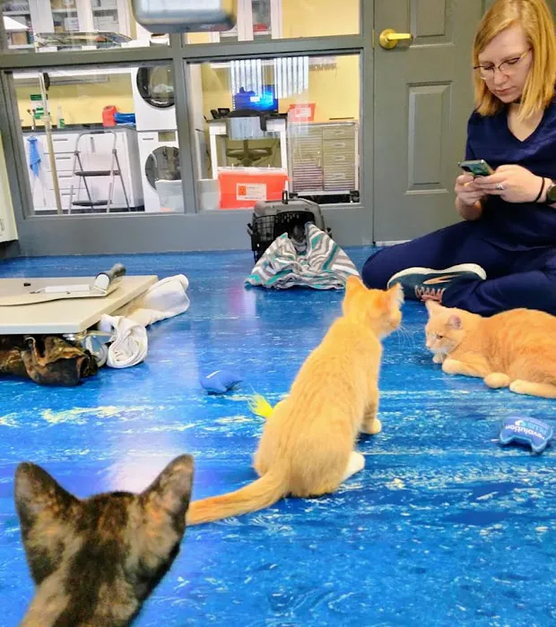 Williamsport West Veterinary Hospital 2