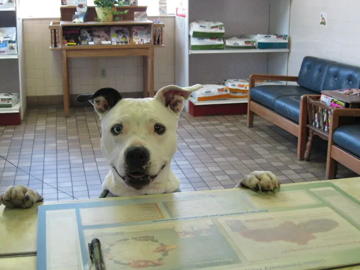 Little's Veterinary Hospital 8