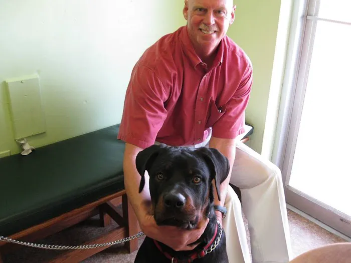 Little's Veterinary Hospital 3