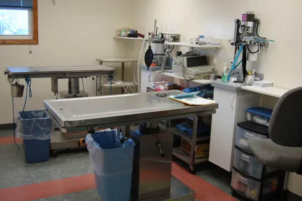 The Animal Hospital on the Golden Strip 10