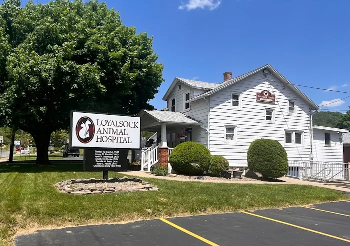 Loyalsock Animal Hospital 9