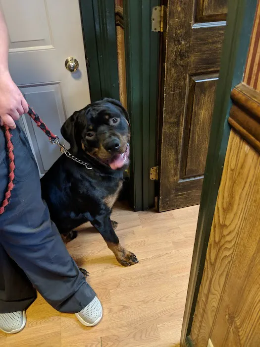 Montoursville Veterinary Hospital 1