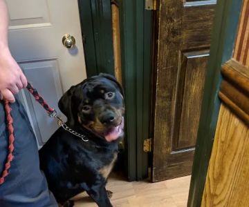 Montoursville Veterinary Hospital