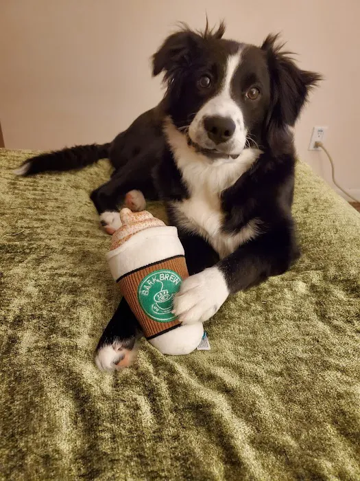 Buddy's Vets - West 12