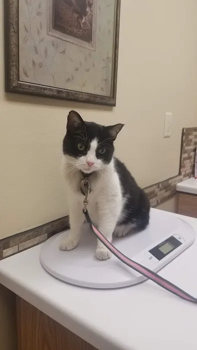 Buddy's Vets - West 12