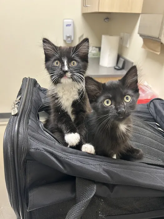 Vetco Total Care Animal Hospital 12