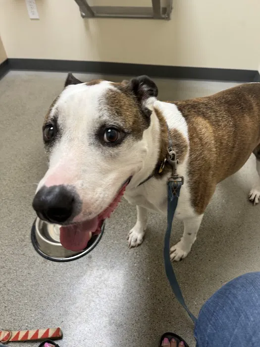 Vetco Total Care Animal Hospital 12