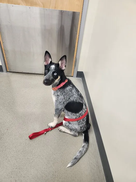 Vetco Total Care Animal Hospital 12