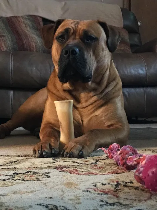 Vetco Total Care Animal Hospital 12
