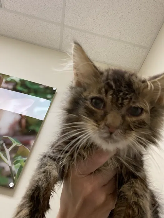 Vetco Total Care Animal Hospital 12