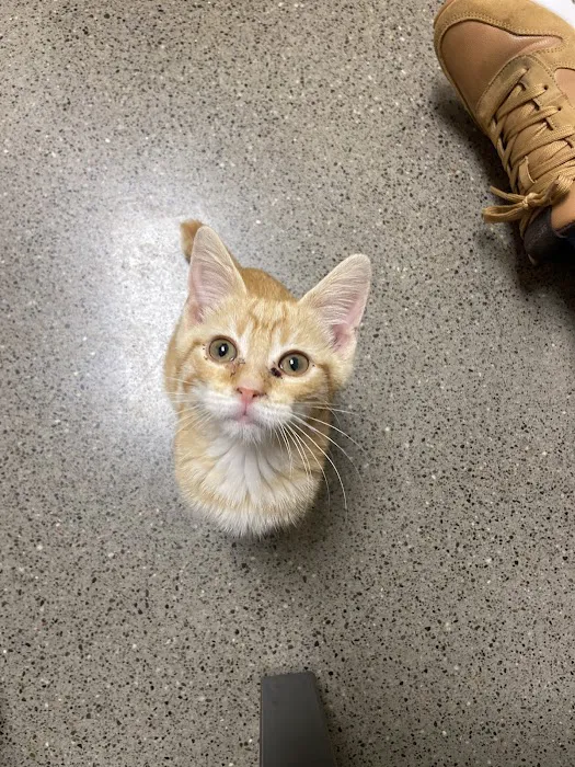 Vetco Total Care Animal Hospital 12