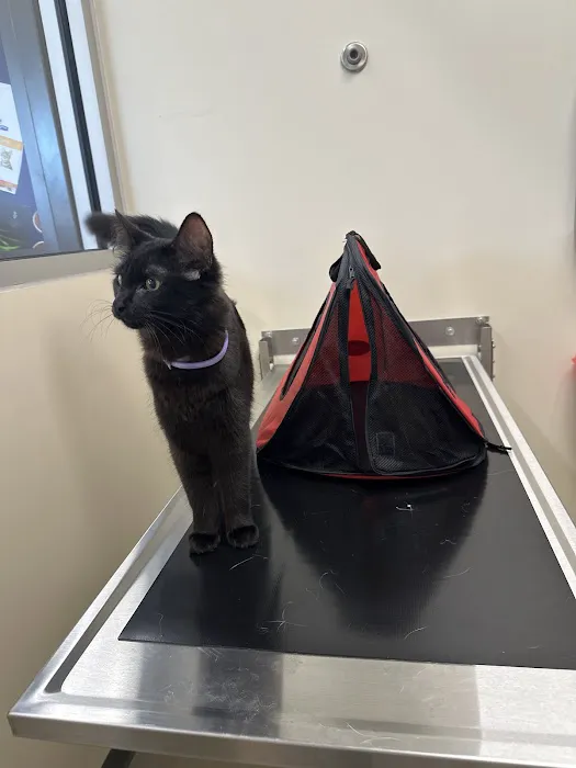 Vetco Total Care Animal Hospital 12