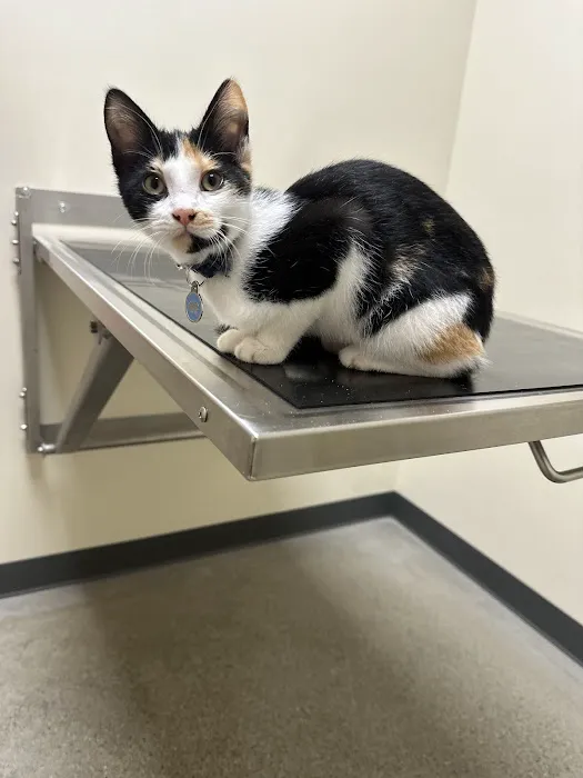 Vetco Total Care Animal Hospital 12