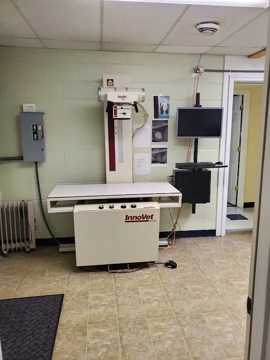 Monmouth Small Animal Hospital 9