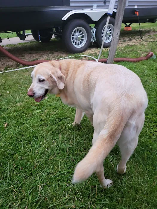 Monmouth Small Animal Hospital 4