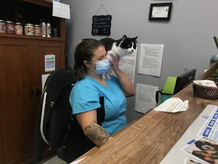 Wags and Whiskers Veterinary Service 4