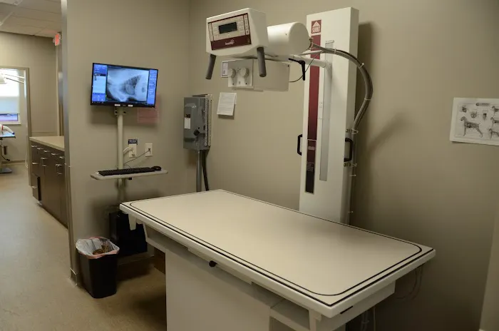 Ulm Veterinary Clinic 6