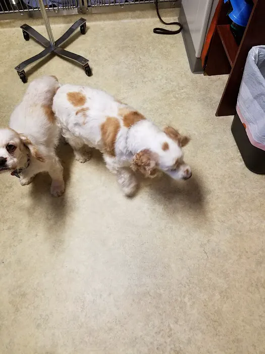 Ulm Veterinary Clinic 2