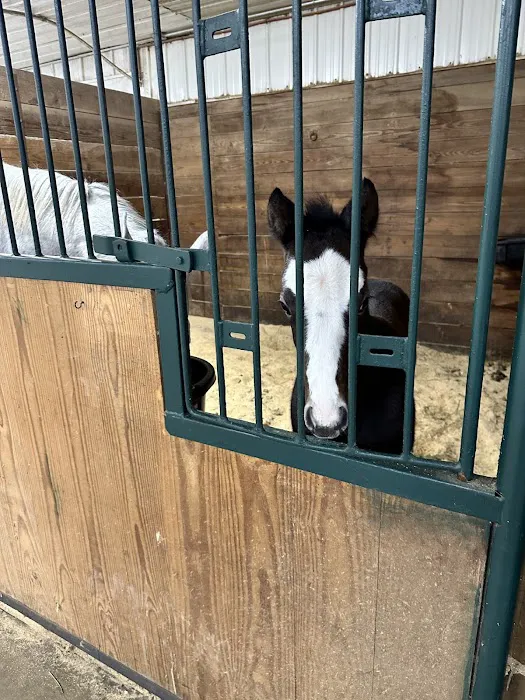 Abraham's Equine Reproduction Center 5