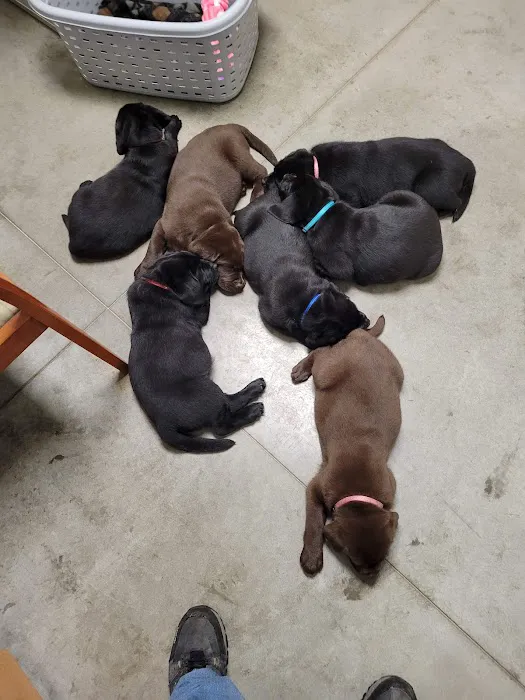 Ross Veterinary Clinic 7