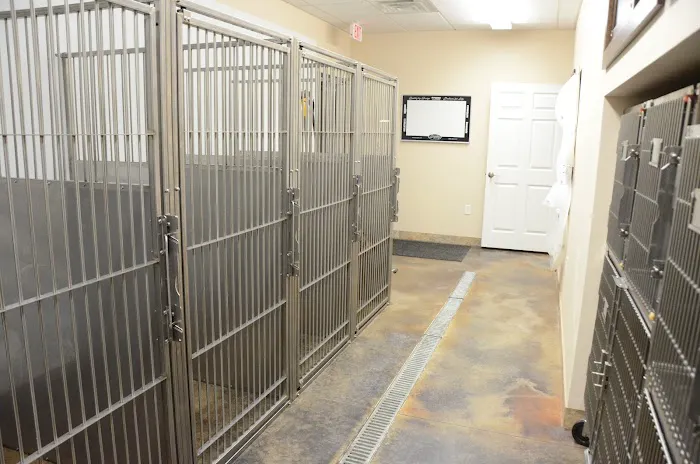 Heartland Animal Hospital Marion 4