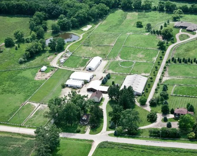 Abraham's Equine Clinic 10