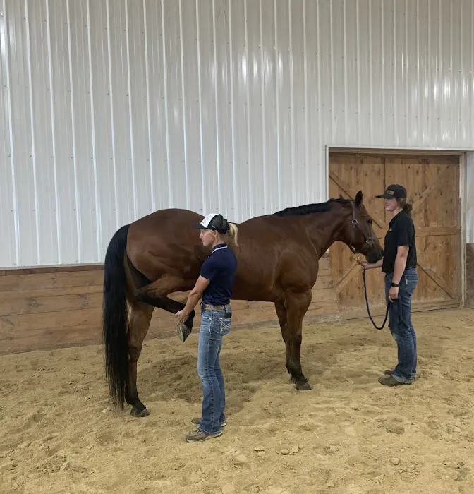 Abraham's Equine Clinic 8