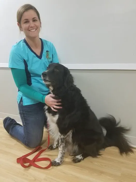 Meier Veterinary Clinic 12