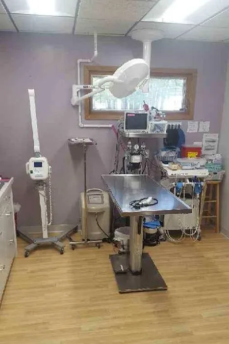 Meier Veterinary Clinic 12