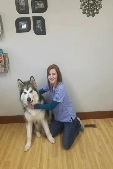 Meier Veterinary Clinic 12