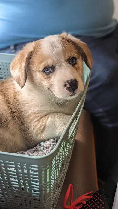 Marion Animal Hospital 2
