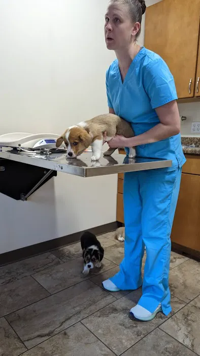 Marion Animal Hospital 5